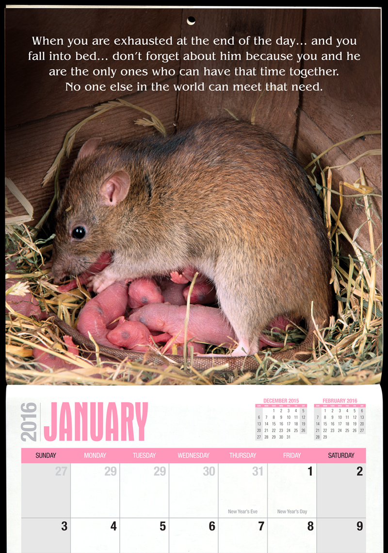 Illustration for article titled “Michelle Duggar’s Sacred Blessings” calendar is a pitch-perfect parody